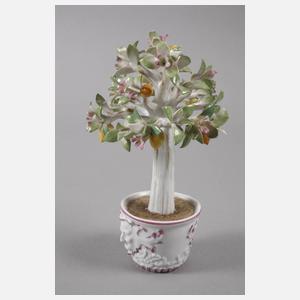 Meissen Cachepot mit Zitronenbäumchen