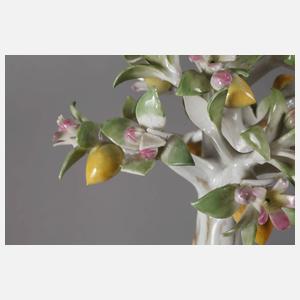 Meissen Cachepot mit Zitronenbäumchen