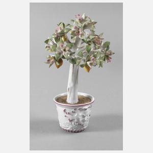 Meissen Cachepot mit Zitronenbäumchen