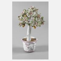 Meissen Cachepot mit Zitronenbäumchen111