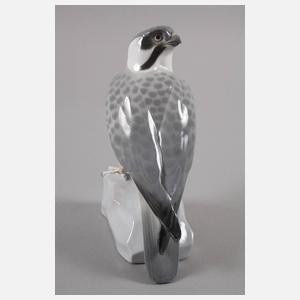 Metzler & Ortloff Ilmenau Falke