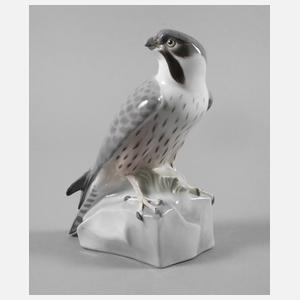 Metzler & Ortloff Ilmenau Falke