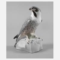 Metzler & Ortloff Ilmenau Falke111