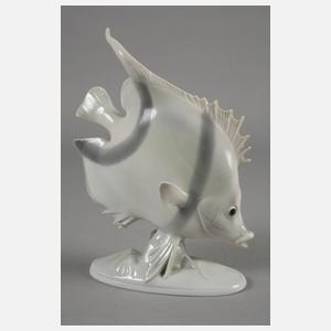 Metzler & Ortloff Ilmenau Zierfisch