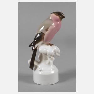 Nymphenburg "Dompfaff (Gimpel)"