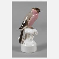 Nymphenburg "Dompfaff (Gimpel)"111