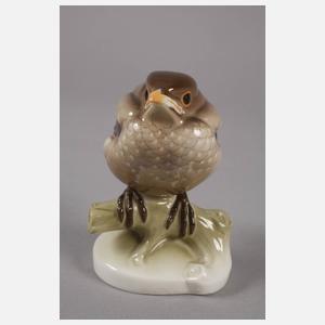 Nymphenburg "Amsel, jung"