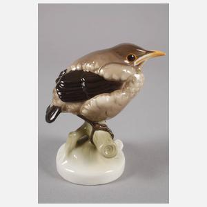 Nymphenburg "Amsel, jung"