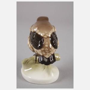 Nymphenburg "Amsel, jung"