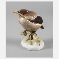 Nymphenburg "Amsel, jung"111