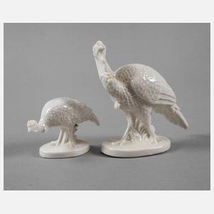 Nymphenburg Truthahn und Truthenne