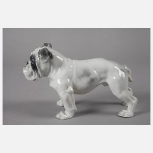 Rosenthal "Englische Bulldogge"