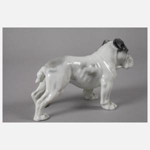 Rosenthal "Englische Bulldogge"