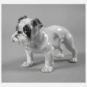 Rosenthal "Englische Bulldogge"