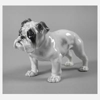 Rosenthal "Englische Bulldogge"111