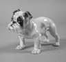 Rosenthal "Englische Bulldogge"