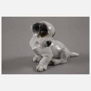 Rosenthal zwei Hundewelpen