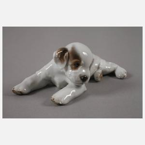 Rosenthal zwei Hundewelpen