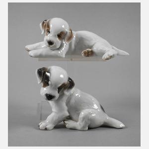 Rosenthal zwei Hundewelpen