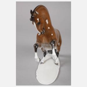 Rosenthal "Hengst in Levade"
