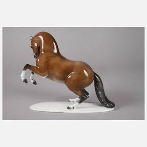 Rosenthal "Hengst in Levade"