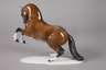 Rosenthal "Hengst in Levade"