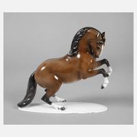 Rosenthal "Hengst in Levade"111