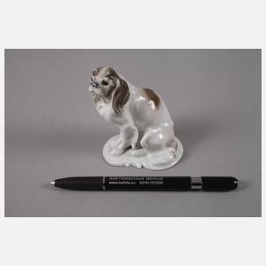 Rosenthal kleiner "King Charles Spaniel"