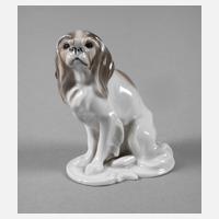 Rosenthal kleiner "King Charles Spaniel"111