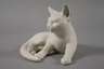 Rosenthal Katze
