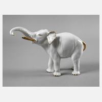 Thüringen Elefant111