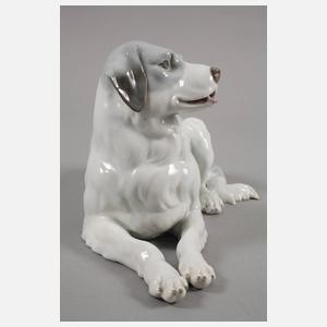 Thüringen Berner Sennenhund