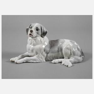 Thüringen Berner Sennenhund