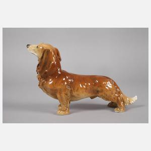 Volkstedt Langhaardackel