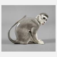 Volkstedt Meerkatze111