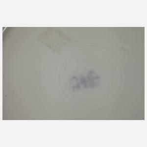 Konvolut Teller mit Wappen Schwarzburg-Rudolstadt