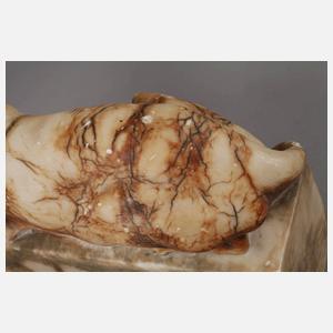 Paul Zeiller, liegender Tiger