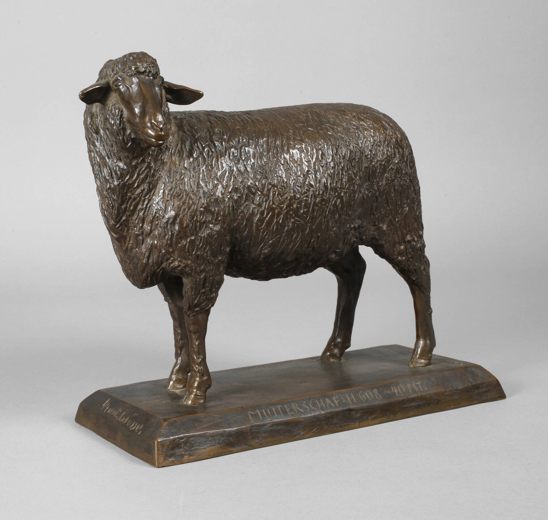 Arthur Steiner, Mutterschaf