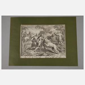 Cornelius Galle I., Auf der Löwenjagd