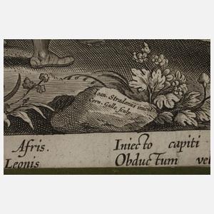 Cornelius Galle I., Auf der Löwenjagd