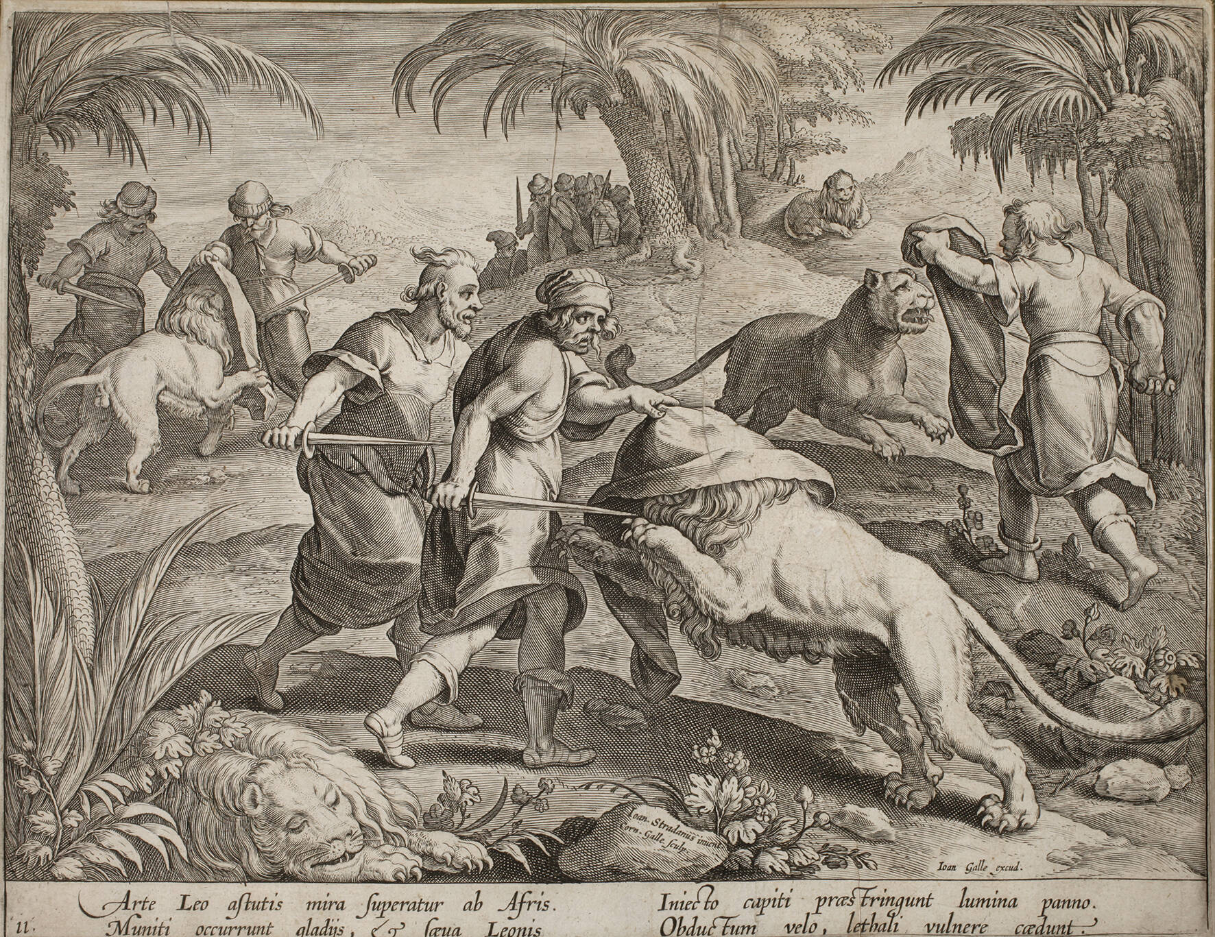 Cornelius Galle I., Auf der Löwenjagd