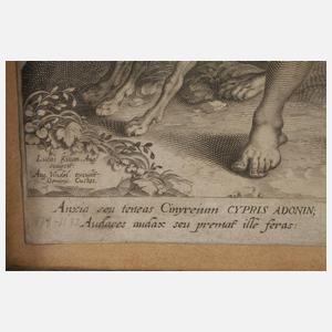 Lucas Kilian, Adonis