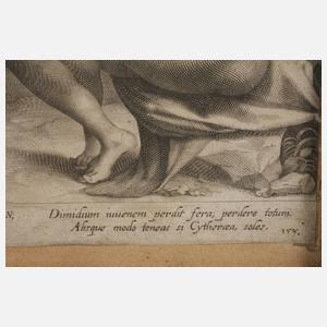 Lucas Kilian, Adonis