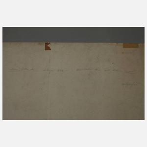 Willem van der Leeuw, Auf der Bären- und Löwenjagd