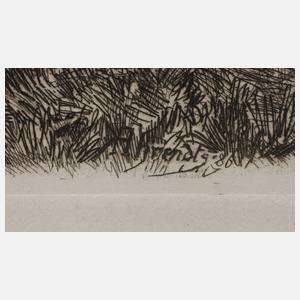 Konrad Ahrendts, Schloss Belvedere