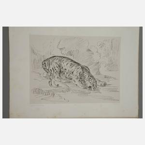 Eugéne Delacroix, Faksimiles