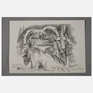 Hermann Drost, Zwei Tierdarstellungen