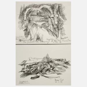 Hermann Drost, Zwei Tierdarstellungen