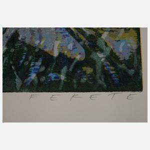 Esteban Fekete, Stadt am Fluss