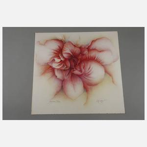 Wolfgang Fratscher "Rogáceae"